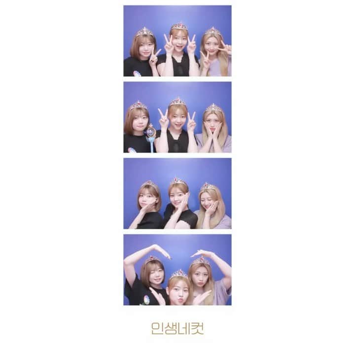 大熊李のインスタグラム：「・ ・ ・ ひなちももこはマブダチィ〜〜👀♥️🎶でもドッグ❕❕❕❕」