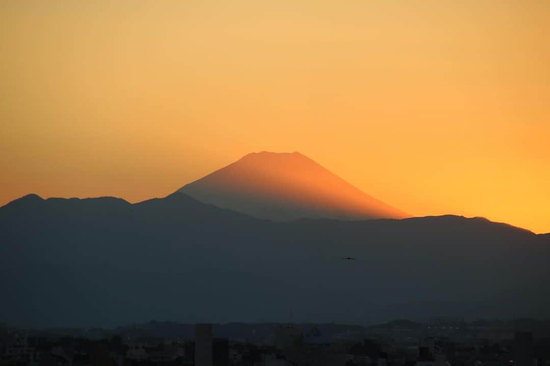 坂元美香さんのインスタグラム写真 - (坂元美香Instagram)「today's sunset 2021/10/29 16:40  写真を時系列で並べています。 ゆっくりと富士山が現れるのが醍醐味です。 雲がないので綺麗に山へ沈んでいきました。 今日も日本は平和です。  それでも、もっと平和に暮らすために 選挙へ行きましょう。  私は選挙権を得て以来 選挙へ行かなかったことが 一度もありません。 それくらい昔から関心があります。 無関心ほど恐ろしいものは ないと思っています。 知らないうちに、いつの間にかこうなっていた と気づいた時にはもう遅いのです…  #sunsetphotobymikasakamoto  #sunset #夕陽 #夕日 #黄昏時 #夕焼け #tokyosky #やっぱり空が好き #イマソラ #CanonEOSKiss8i #選挙へ行こう #子供たちの未来のために #大人の責任」10月29日 17時37分 - mika_saka