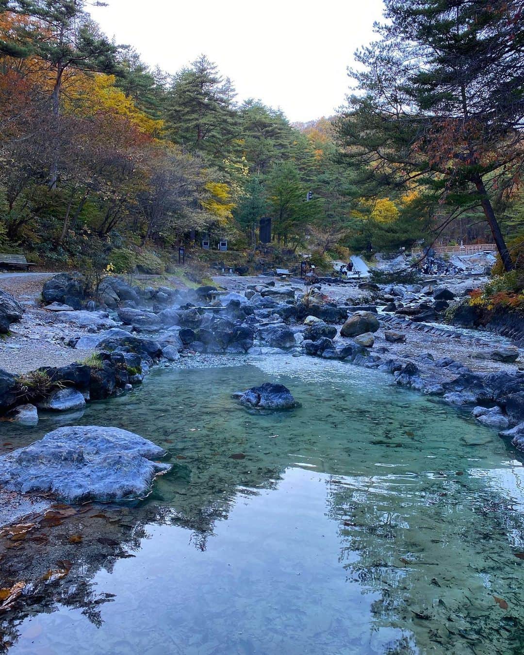 十枝梨菜さんのインスタグラム写真 - (十枝梨菜Instagram)「beautiful nature 🔥」10月29日 19時46分 - rinatoeda0611