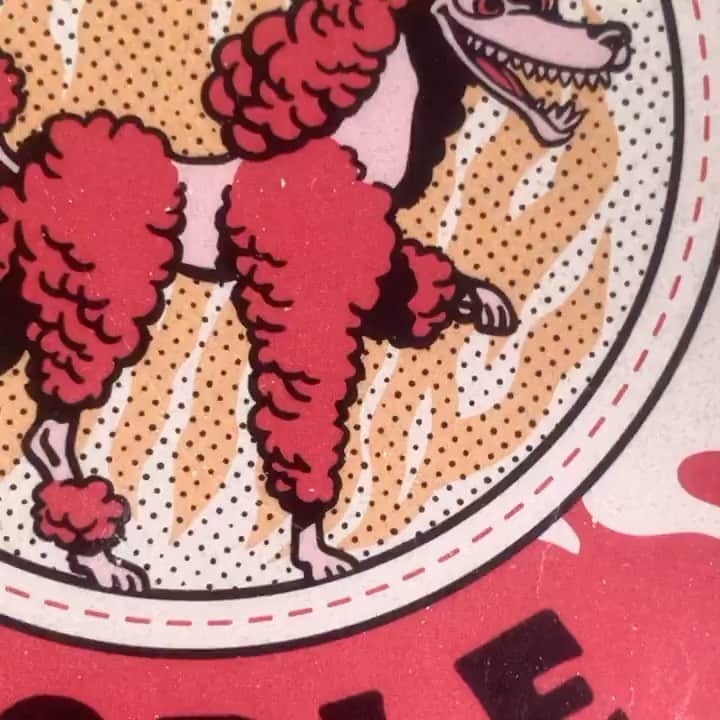 PINKY DOODLE POODLEのインスタグラム