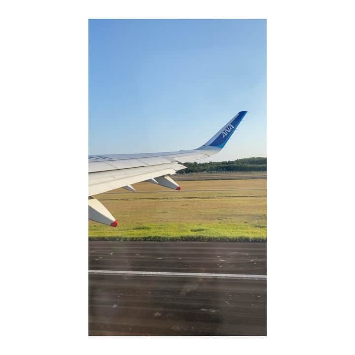 藤田敦子のインスタグラム：「ㅤ この大好きな光景をアップしたら フォロワーの方からメッセージをいただいた。 ㅤ 宮崎出身の方で、現在海外に住んでいて 帰りたいけど帰れないし、宮崎の海に行きたい と思っていたら敦子さんの動画が上がっていて 思わず涙が出ました、と。 ㅤ いただいたお言葉を見て、私もなぜか涙が。 動画を撮影した時、この美しい景色を見て涙出たなぁ ってのを思い出したことと、 思いがけず誰かの心に残ることをできてたって なんて素晴らしいことなんだろう、と。 むしろこちらがいろんなことを気づかせてもらえて 色んな意味でありがとう、でした。 ㅤ 日々起こることに心が荒んだり ついつい嫌なことを考えがちな日もある。 でも、前を向いて、顔を上げて またこの光景が見れるように、 また誰かの役に立てるように 日々頑張ろうと思った。 ㅤ 気持ちの持って行き場がないこともあるけど こういう時ほど色々考えられる機会。 いいことは誰かのおかげ、 悪いことは人のせいではなく、 全ては自分が選んだ結果。 きっとこういった考える機会をもらえて それは成長するための神様からのギフトなんだろうなぁ✨」