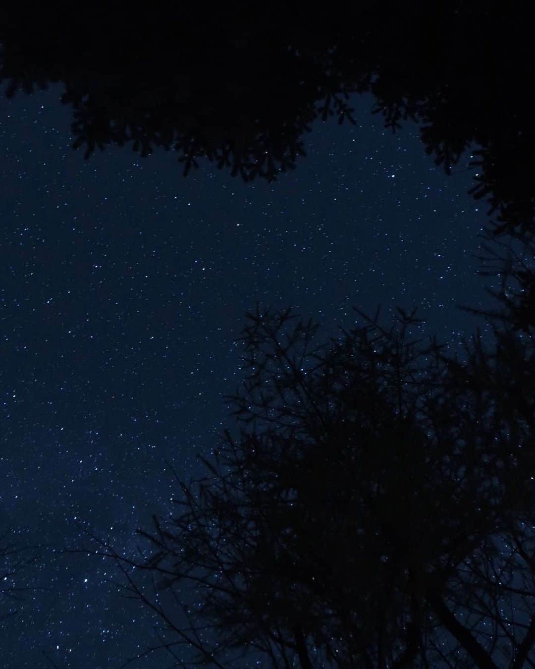 のインスタグラム：「山小屋の人たちと、少ない宿泊客と、みんなで話して歌って外出たらこれ🌌 リファが撮ってくれた！ 20:00就寝💤」