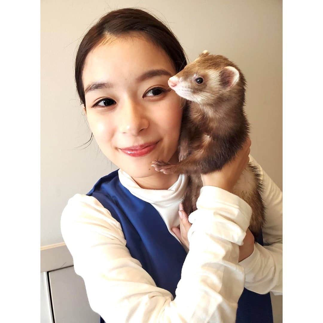 芳根京子さんのインスタグラム写真 - (芳根京子Instagram)「本日19時から放送の 「I LOVE みんなのどうぶつ園」に、 たぬと一緒に出演させていただきます！  なんと、相葉さんとDAIGOさんがたぬにおもちゃを作ってくれました...！ ありがとうございました...！  たぬはお家に帰ったらお腹おっぴろげて爆睡でした。笑 よくがんばったね☺️ ありがとう🦫  是非ご覧ください☺︎  #真犯人フラグ #ILOVEみんなのどうぶつ園  #たぬと出勤  @stylist_fujimoto  @maikoinomatamaiko」10月30日 12時27分 - yoshinekyoko