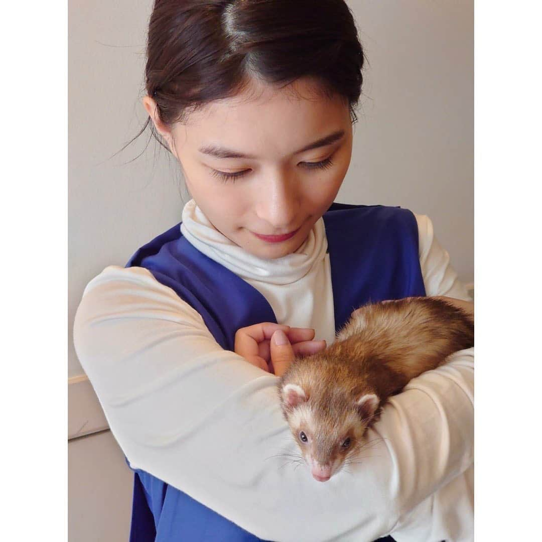 芳根京子さんのインスタグラム写真 - (芳根京子Instagram)「本日19時から放送の 「I LOVE みんなのどうぶつ園」に、 たぬと一緒に出演させていただきます！  なんと、相葉さんとDAIGOさんがたぬにおもちゃを作ってくれました...！ ありがとうございました...！  たぬはお家に帰ったらお腹おっぴろげて爆睡でした。笑 よくがんばったね☺️ ありがとう🦫  是非ご覧ください☺︎  #真犯人フラグ #ILOVEみんなのどうぶつ園  #たぬと出勤  @stylist_fujimoto  @maikoinomatamaiko」10月30日 12時27分 - yoshinekyoko