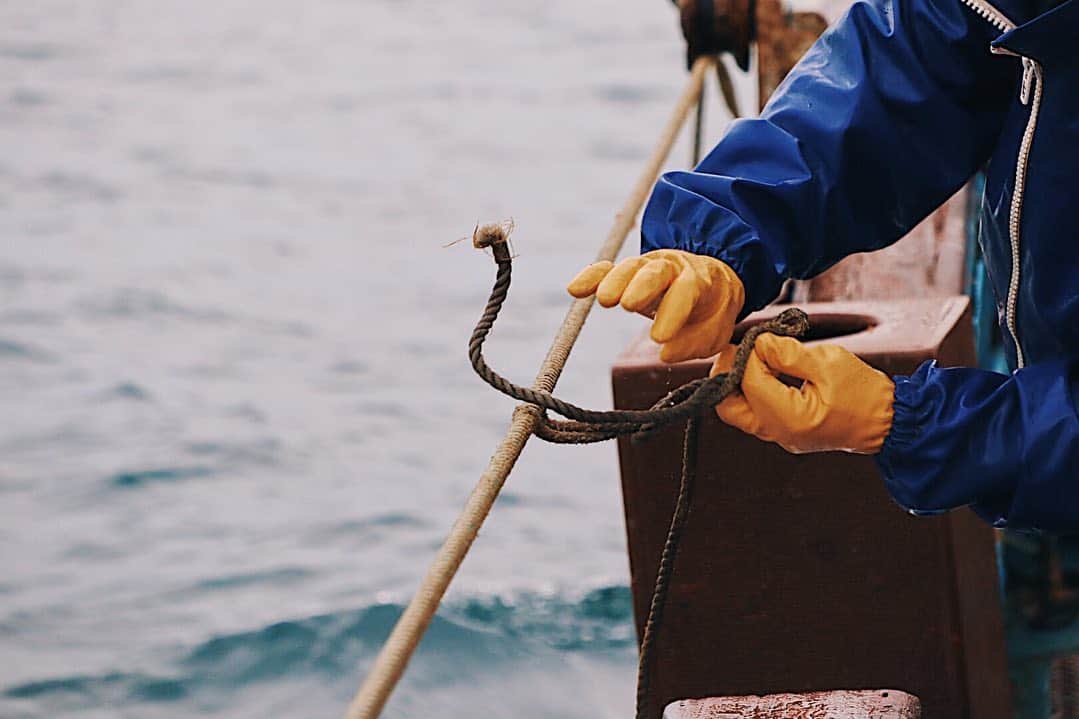 吉田知那美さんのインスタグラム写真 - (吉田知那美Instagram)「・ #父  私がまだ小さな頃は吉田家にはお小遣いという 定額支給制度がなく、働いたらもらえるお給料制度でした。  サロマ湖沿いにあるホタテの養殖作業用倉庫での仕事、 北海島えびの選定と市場への出荷の仕事など、 漁師のお仕事のお手伝いをしてその対価として父からお給料をもらっていました。  子供がもらうにしてはしっかりとした額をもらっていたことはその当時から認識していましたが、大人になって父の働く姿を撮影したく久しぶりに仕事場について行った時、 小さい頃に手伝いになってたと思っていたことのほとんどは本当は手伝いになってなかったんだなと気付きました。 #猫の手  寧ろ邪魔になっていることの方が多かったんだろうなと思います。  でもそのおかげで色んな知識を経験から教えてくれました。  私は高校を卒業した18歳から今日までの12年間、 毎年カナダやその他様々な国に行き生活をしていますが、 今年生まれて初めてホームシックになりました。  と、父とお母さんにテレビ電話で伝えたら爆笑してました。  #海シック #猫シック #開運丸」10月30日 12時20分 - chinami1991