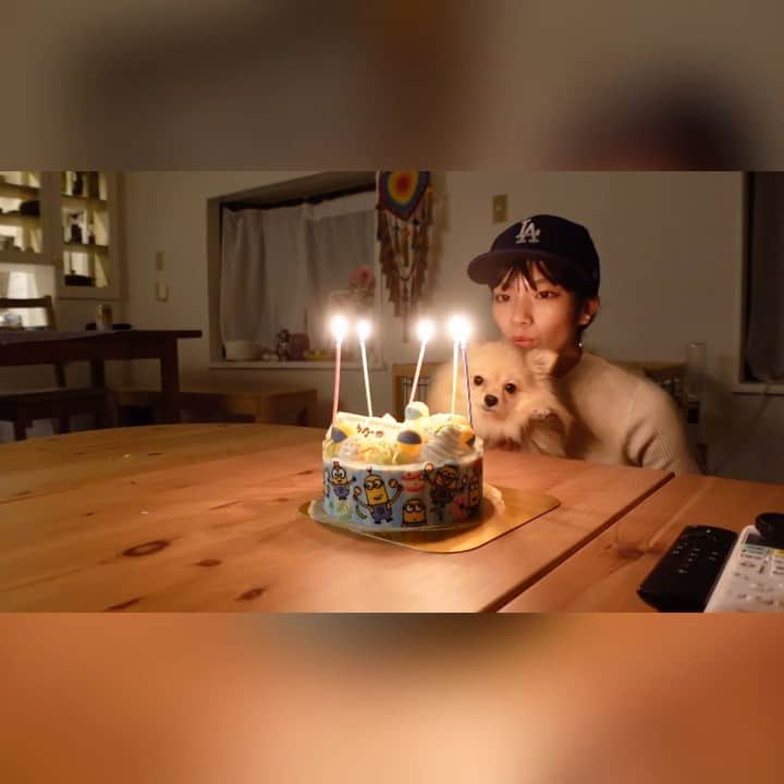 矢部ユウナのインスタグラム：「わーい今日で24歳になりました♡♡♡大人になっても31のアイスケーキがいい😉🤍🍰24歳の矢部もよろしくお願いします！」