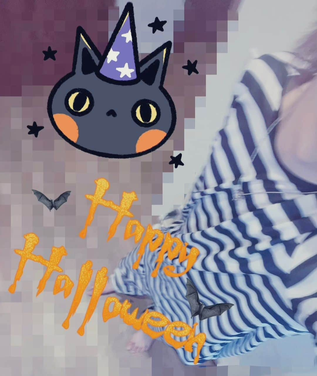 ばぁうのインスタグラム：「俺を捕まえられる？  #はっぴーはろうぃん🎃」