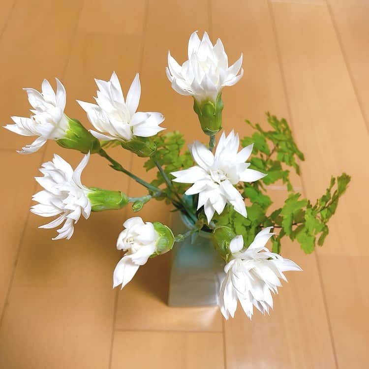 菊池桃子さんのインスタグラム写真 - (菊池桃子Instagram)「*  以前、Instagramに載せた 手に入らないスプレーカーネーション。 センス溢れたお花屋さん#花すけ さん にピンクではなく白が…… 買わせていただきました🥰。 白は爽やかで、こちらも素敵！  #花すけ さん #スプレーカーネーション」10月30日 15時11分 - momoko_kikuchi_official