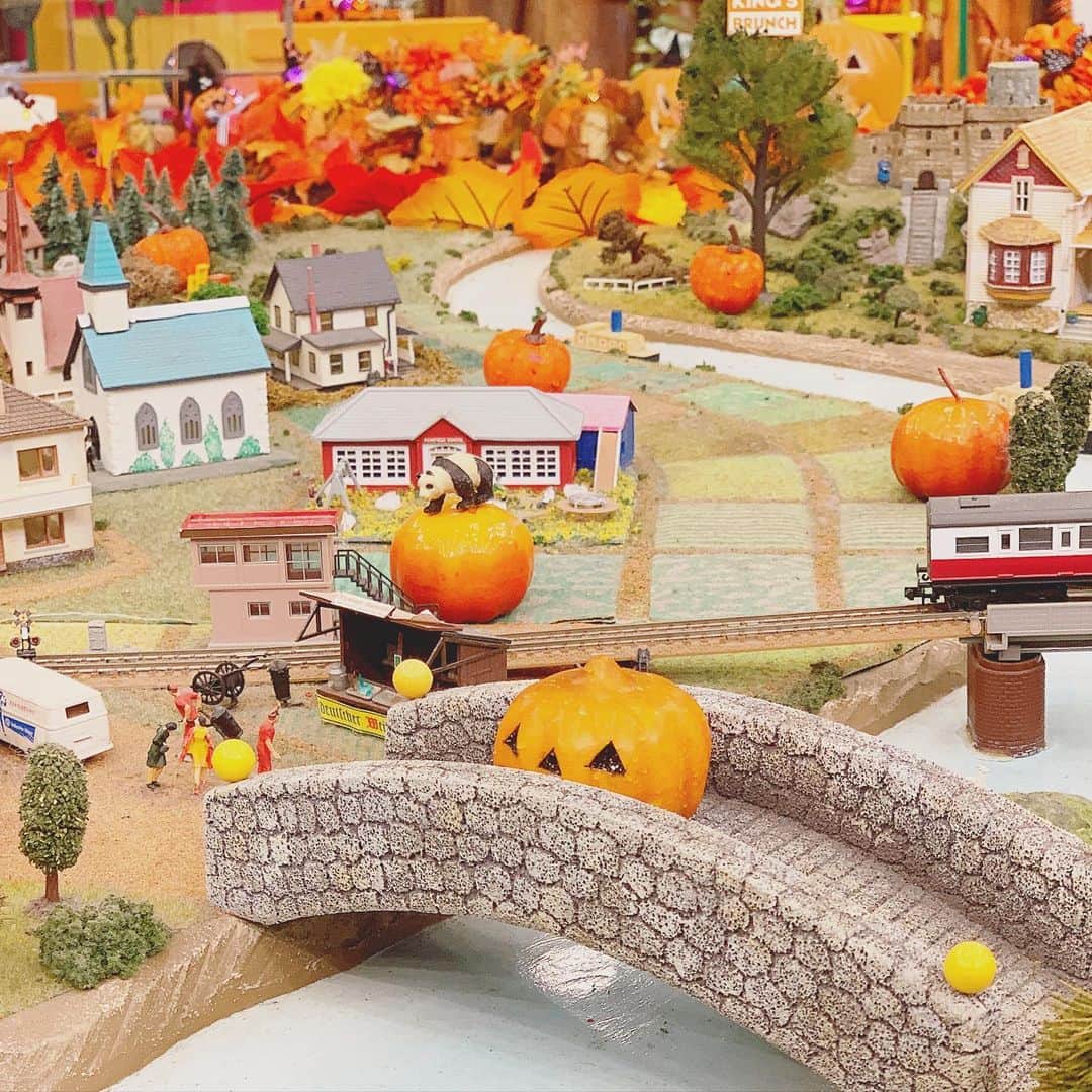野村彩也子さんのインスタグラム写真 - (野村彩也子Instagram)「. . かぼちゃ🎃のうえのパンダ🐼にきゅん  よく見ると かぼちゃのサイズ感バグってます😂  #今って花粉飛んでいますか？ #秋花粉 #気配を感じているようないないような」10月30日 15時42分 - nomurasayako
