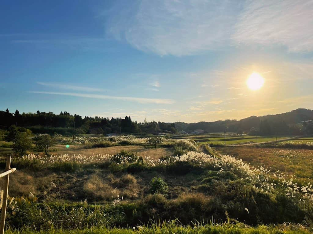 南條早紀さんのインスタグラム写真 - (南條早紀Instagram)「【ススキと夕陽と秋の空🌾】  きょうもフルサタ！ ありがとうございました🥰  番組後、畑に打合せがてら寄ったら とっても素敵な景色に出逢ったので☺️  青空にうっすらかかる雲と、 明るい夕陽に風に揺れるススキ。  赤とんぼもたくさん飛んでいて 日本の良さを集めたような 美しい風景でちょっとグッときた🥲笑  日本の原風景っていうのかな〜 街中からちょっと車で行くと こんな素敵な景色に出会える富山。 改めていいよなぁって思います。  もうしばらくしたら、 雪で真っ白になるんだろな☃️ 束の間の秋を満喫したいですね😊🍁  さて、明日は衆議院議員選挙。 お仕事の前に投票行きます！✨  BBTでは開票特番を放送しますので、 ぜひご覧くださいね♪ 明日も頑張ります😌💕  それでは、ひとまず今週も お疲れさまでした✨  #富山県 #富山市 #富山 #秋の空 #秋空 #夕陽 #夕陽が綺麗 #夕陽が好き #日本の絶景 #日本の風景 #日本の景色 #日本の原風景 #ススキ #田舎暮らし #田舎 #癒し #エモい #秋を感じる #赤とんぼ #富山旅行 #富山観光 #富山テレビ #アナウンサー #南條早紀　#なんじょうのにちじょう#photography #autumn #japantravel #skyphotography #toyama」10月30日 17時55分 - nanjo_saki