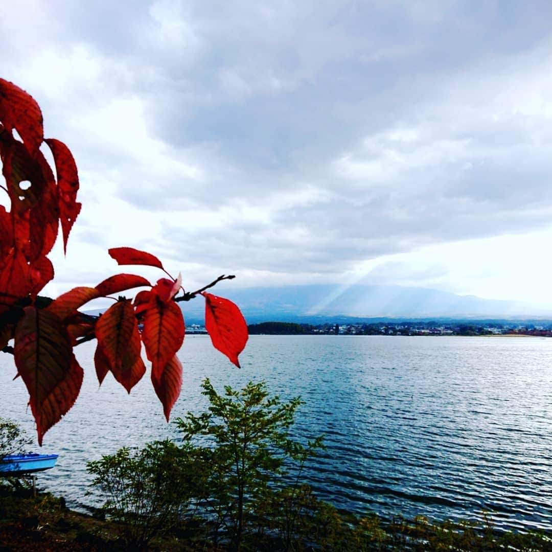 富永美樹さんのインスタグラム写真 - (富永美樹Instagram)「#秋の風景 #富士北麓 #紅葉🍁  #富士山 にかかる#天使の梯子  #美しかった  #今日の富士山 #河口湖   #秋 #秋大好き  #行楽日和 #青空  #撮影場所 #富士河口湖町  #紅葉まつり #紅葉回廊 #紅葉スポット #ほうとう #うま #食欲の秋  #コキア #大石公園 #鳴沢村 #山梨県  #自然に癒される  #景色最高 😁 #風景写真」10月30日 19時45分 - miki.tominaga.official