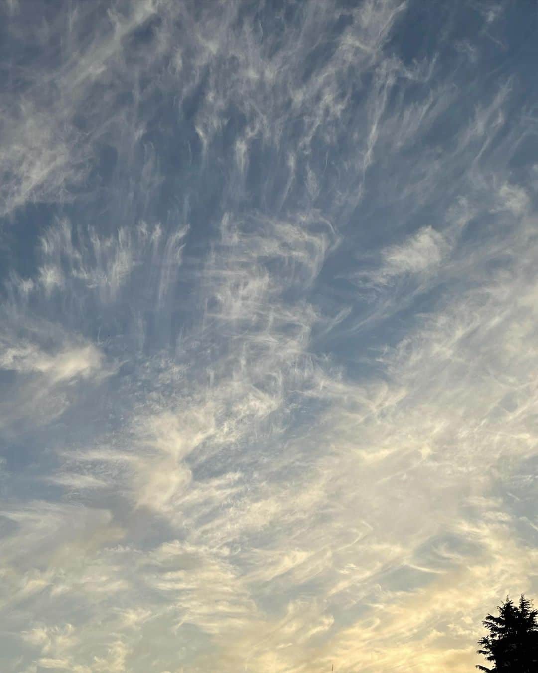 石川亜沙美のインスタグラム：「見上げた空☁️ ・ 空のアート ・ 今日の わたしの 小さな 幸せ☺️❣️ ・ ・ #2021.10.30 #夕空 #sky #nonfilter #東京 #🙏✨✨」