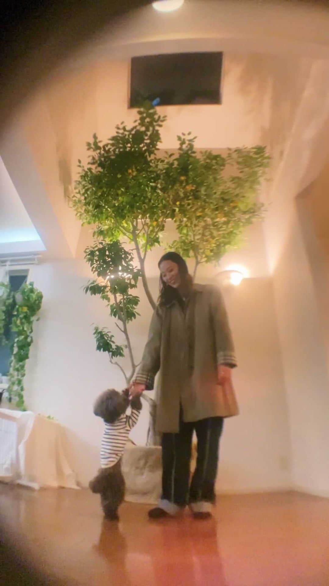 のインスタグラム：「Behind the scene of a shooting at home😂🏠🐕 いつもの撮影風景。🍃  #toypoodle#dancer#dance#ダンス動画#撮影風景#thisweekoninstagram」