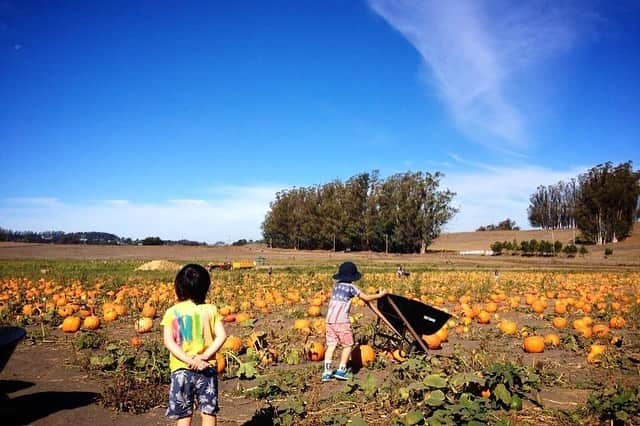 himecyanさんのインスタグラム写真 - (himecyanInstagram)「ハロウィン振り返りシリーズ好評につきまた載せます🎃サンフランシスコに住んでた時のハロウィンイベントの様子。コーンの粒が敷き詰められた箱があったり本気でイベントを楽しむ感じアメリカならではで楽しかったなぁ🎃 . #ハロウィン  #サンフランシスコ」10月30日 21時16分 - himecyan