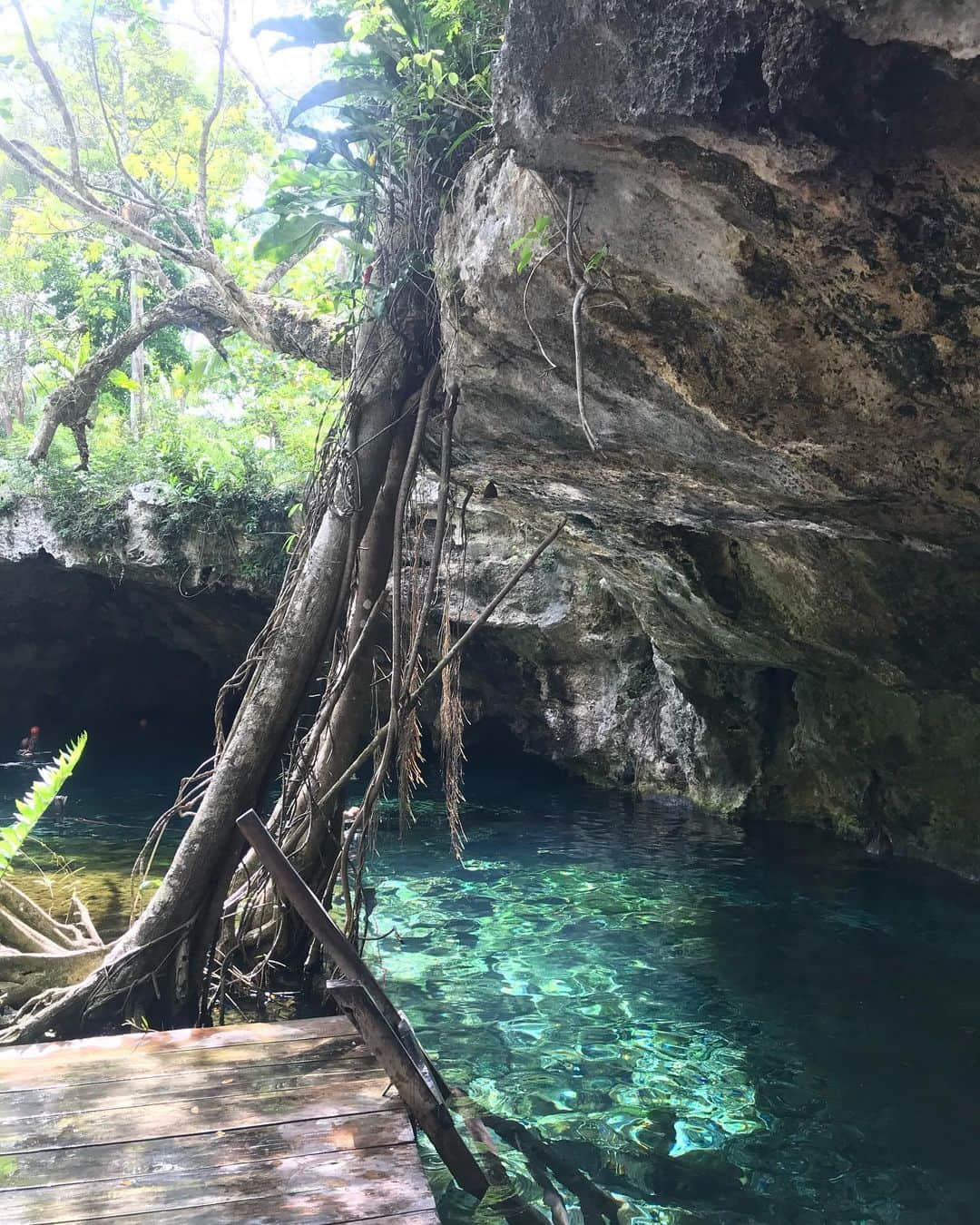 テイラー・ペンバートンさんのインスタグラム写真 - (テイラー・ペンバートンInstagram)「I am *respectfully looking* at all bodies of water, but especially cenotes and oceans」10月31日 7時03分 - pemberton