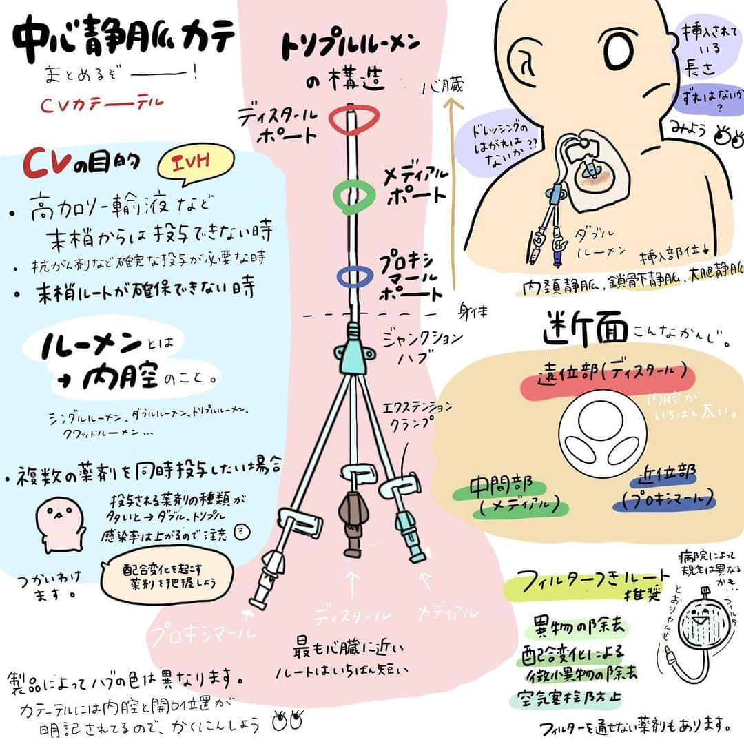 はやのインスタグラム