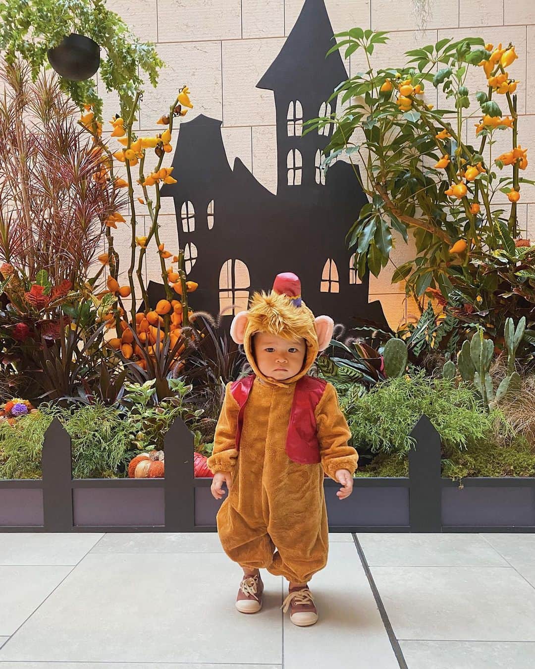 のインスタグラム：「愛してるぞ🤍#アブー  #happyhalloween #disney #Abu」