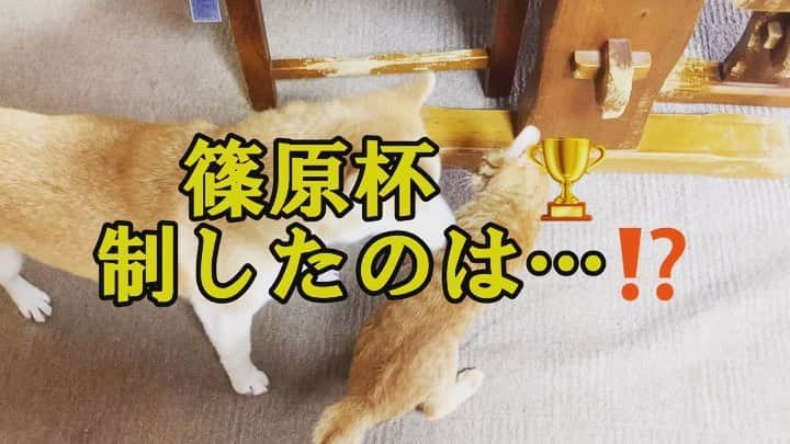 篠原信一のインスタグラム