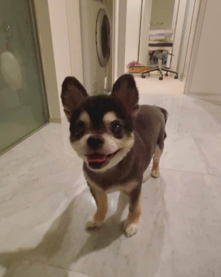 MARISのインスタグラム：「The last photo before my 🎂 My new era tomorrow ❤️ I will enjoy for couple days for r#enjoying ourselves for mybd❤️🥰I’m so peaceful in Nature right now❤️🤫 グーシャンはしばらくの間実家へお戻りになられ🐕 私たちはハロウィン🎃ではなく大自然のど真ん中で大自然を感じまくっております🥰最高に平和❤️🕊」