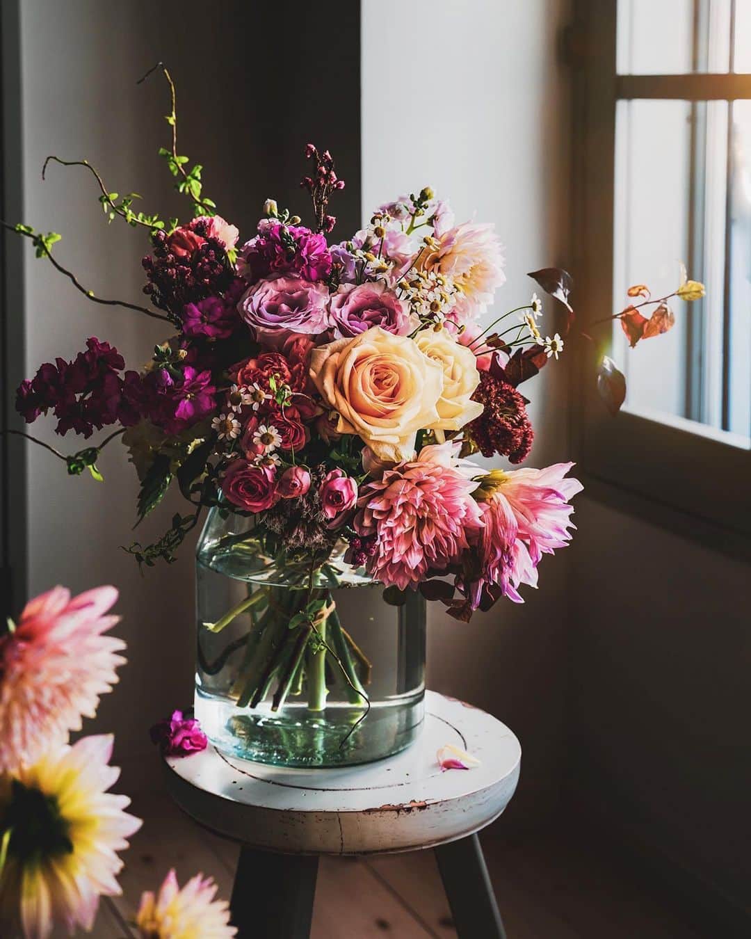 柳澤麻衣のインスタグラム：「A bouquet of autumn colors. Happy Halloween 🎃   ハロウィン＝秋の収穫を祝う  今年は我が家の菜園で秋の味覚”おさつま”を収穫してきました。  以前から興味があった有機野菜とお花の菜園を今年の春にはじめました。 有機栽培の講座に通いながら季節のお野菜やお花を順調に栽培できました。  今日のブーケのダリアはそこで栽培したものです。 今年はルピナス、マリーゴールド、ラベンダー、ダリアなどを栽培してみました。  少しずつお花の種類も増やし、自分で育てたお花だけでナチュラルなブーケやアレンジメントができればと思っています。」