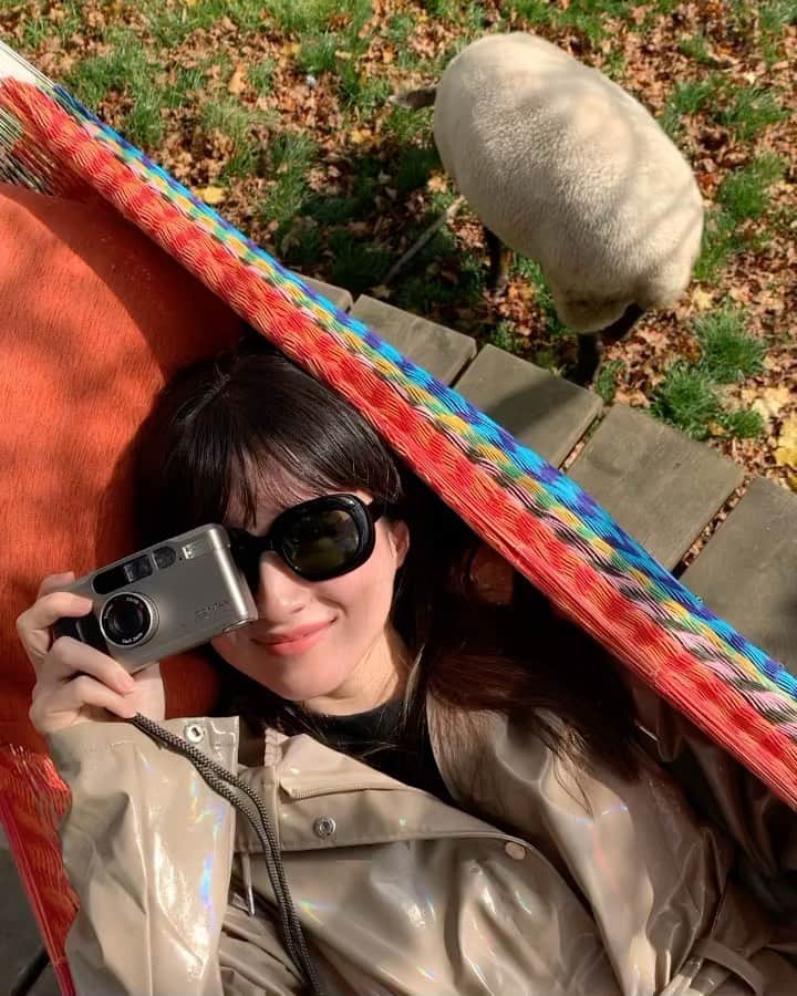 吉竹美聡のインスタグラム：「🐑🎶💛」