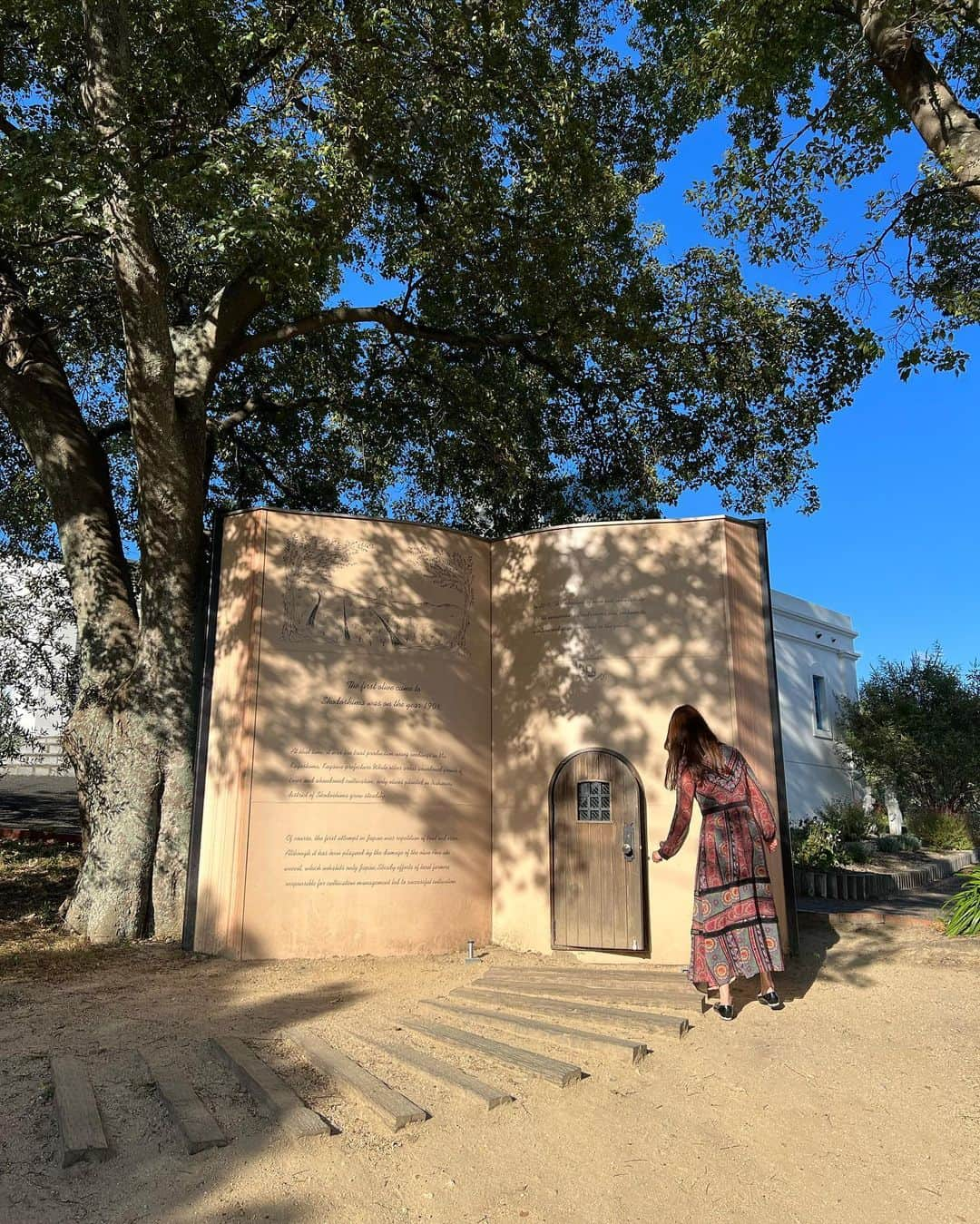 佐野真彩さんのインスタグラム写真 - (佐野真彩Instagram)「小豆島＝オリーブ🫒 その歴史は1908年にオリーブ栽培試験地に選ばれてから始まりました。  他にもいくつか試験地に選ばれた土地がありますが、結実に成功したのは香川県・小豆島のみだったそう。  もう既に100年以上も歴史があるのですね😳 オリーブ詰み、初めての体験でした☺️🫒  お土産で小豆島産オリーブオイルも購入して帰りましたよ。  小豆島、皆さんは行かれたことがありますか⁇⛴💕🫒  #小豆島　#オリーブ公園 #emiriawiz #ロングワンピース　#エミリアウィズ  #香川旅行 #シーニッククルーズ小豆島　#韓国スポット　#旅好き　#香川県民」10月31日 21時35分 - sano.maya