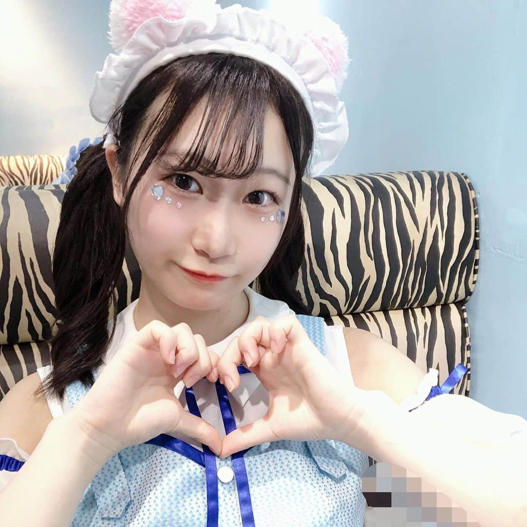 羽乃花音のインスタグラム：「ネコちゃんメイドにゃん^._.^‪‪❤︎‬  これ実は2つのカチューシャ2個つけてる(それはどうでもいいのだけど)  白色担当になりました🤍🐇☁ 念願の白だ〜嬉しい！！  カラフルな12色のペンライトがとっても綺麗で……早くまたここに戻りたいとより強く思ったの。特にその中でも白は際立ってて(白色振ってくれた方への贔屓なのであります)すごく幸せな気持ちになりました。振ってる側からするとこんな多くの中のひとつなんて って思っちゃうかもだけど(私は思ってた)けど、めちゃくちゃハッキリしっかり見えてるし、なんなら誰が振ってくれてるのかも見えてる♪その1つ1つの光が本当に嬉しくて……とにかく！今日はカラフルな会場で今まで以上に素敵な景色だったんです！！  今日をもって受験のため私は一時活動休止となります。 ですが 11/13は例外です！ 大切なライブということで出演させて頂きます。 十分に練習に参加出来ないため出演楽曲は少なくなるかもしれないのですが、これが本当に本当の活動休止前ラストとなるので会えたらいいな、、会いたいな、、会いたいです、、会いに来てお話しましょ！寂しくなるので。。 何度も言ってるけれど本当にお話してる時間が楽しくてふれあいタイム最高なのです！！！！！！  あとねーーー、  ワガママなんだけどね、、、あ、別に聞かなくてもいいです あんまり目移りしないでね…(小声) かわいい子ばかりだからちょっぴり不安なんだ😵‍💫😵‍💫 たまには違う子好きになってもいい(🙅🏻‍♀️)  インスタの投稿も頻度落ちると思うので とりあえず長文は休止前ラスト？かもかも〜  今日もここまで読んでくれてありがとう。 私にとってあなたは大切な存在だよ。 🤗」