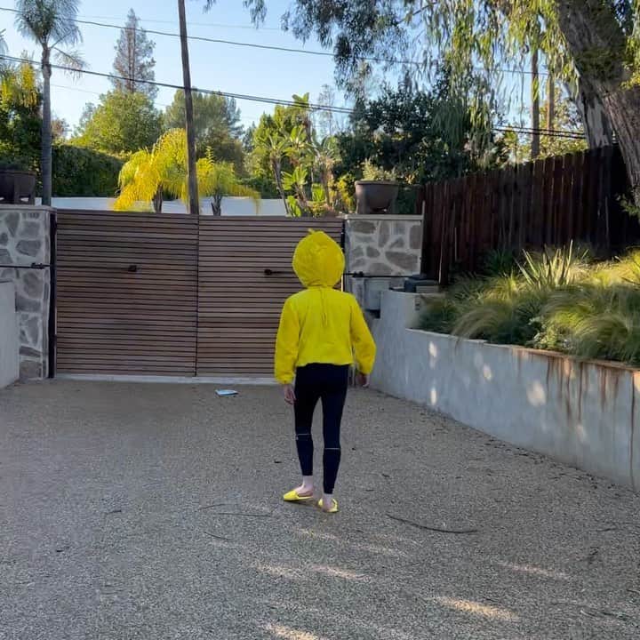 のインスタグラム：「🐦📦」