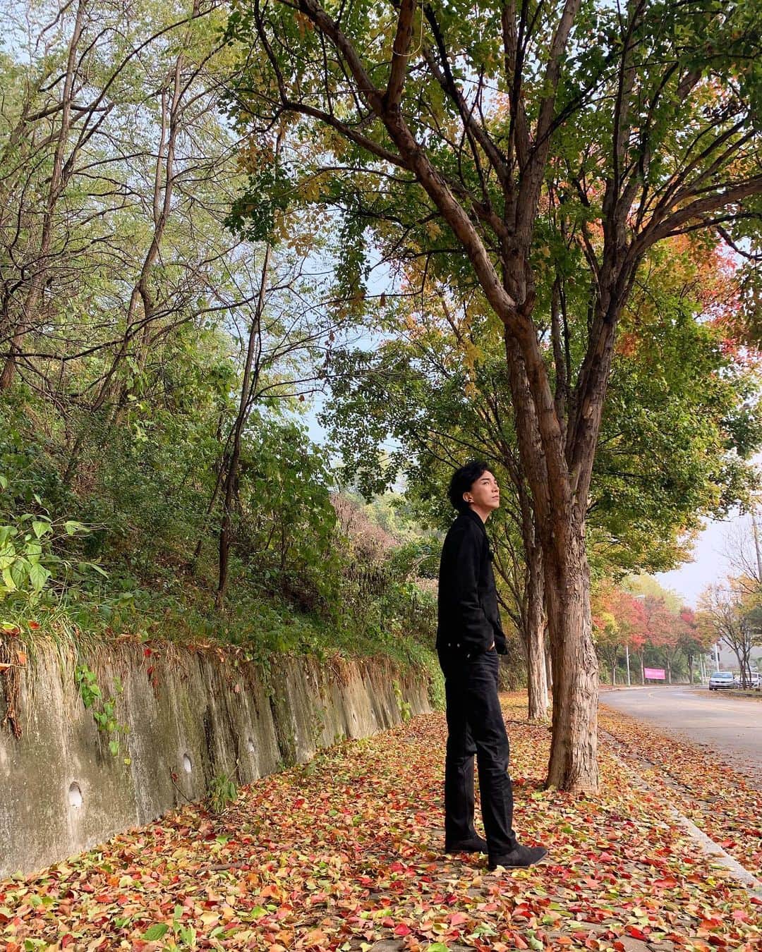ト・サンウさんのインスタグラム写真 - (ト・サンウInstagram)「벌써  가을의 시작과 끝. 📽」11月1日 11時27分 - sang_____w