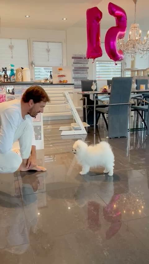 ファビアン・カンチェラーラのインスタグラム：「Sound on….. Sunday fun with our little 8months Louie. Looks like getting ready for the supertalent show 2022🤣🤣🤣 What have you done today?  #familydog #dog #pomerian」