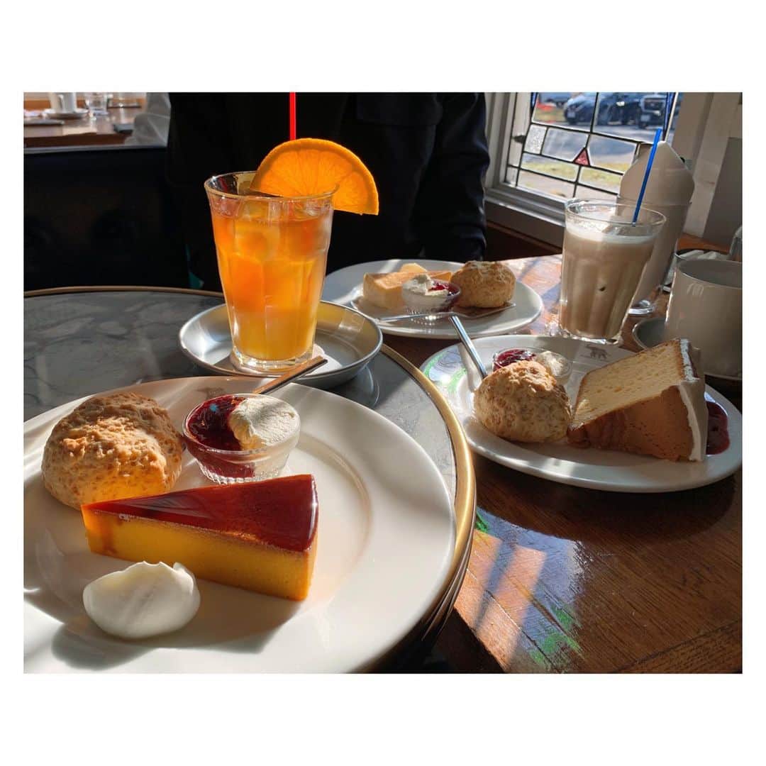 若林有子さんのインスタグラム写真 - (若林有子Instagram)「11月🍁  1年前くらいに家族で行ったカフェ。 スコーンがとびきり美味しかったな〜  窓から差し込む光でケーキが輝いていました。  ちなみに今日は #紅茶の日 だそうです🫖  #コーヒーが飲めないので紅茶派です #そして2021年もあと2ヶ月！ #がんばりましょ〜  #11月 #カフェ #cafe #スコーン #紅茶 #若林有子 #アナウンサー」11月1日 20時33分 - wakabayashiyuko_