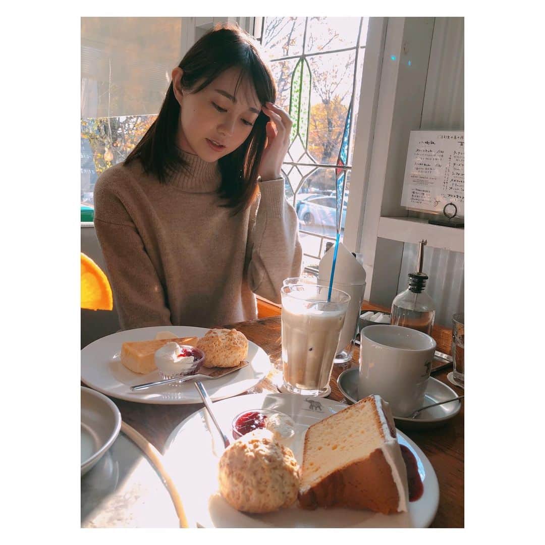 若林有子さんのインスタグラム写真 - (若林有子Instagram)「11月🍁  1年前くらいに家族で行ったカフェ。 スコーンがとびきり美味しかったな〜  窓から差し込む光でケーキが輝いていました。  ちなみに今日は #紅茶の日 だそうです🫖  #コーヒーが飲めないので紅茶派です #そして2021年もあと2ヶ月！ #がんばりましょ〜  #11月 #カフェ #cafe #スコーン #紅茶 #若林有子 #アナウンサー」11月1日 20時33分 - wakabayashiyuko_