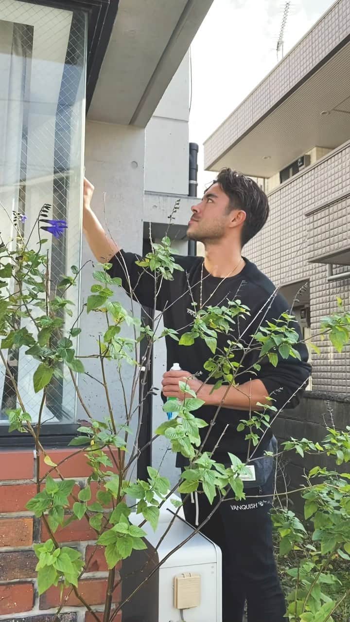 のインスタグラム：「@acegym_kamakura の窓にカットシートを貼る作業🔥初めてだから大変😅」