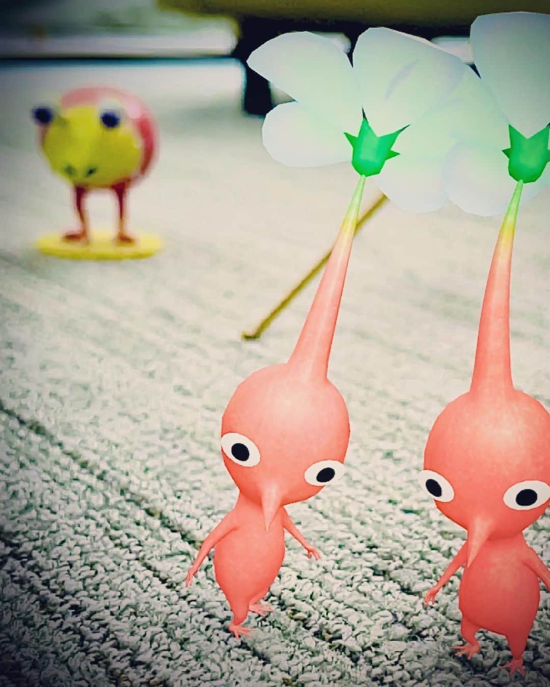 マサイさんのインスタグラム写真 - (マサイInstagram)「#ピクミン #ピクミンブルーム #pikmin  #pikminbloom」11月1日 14時01分 - masai_fischers