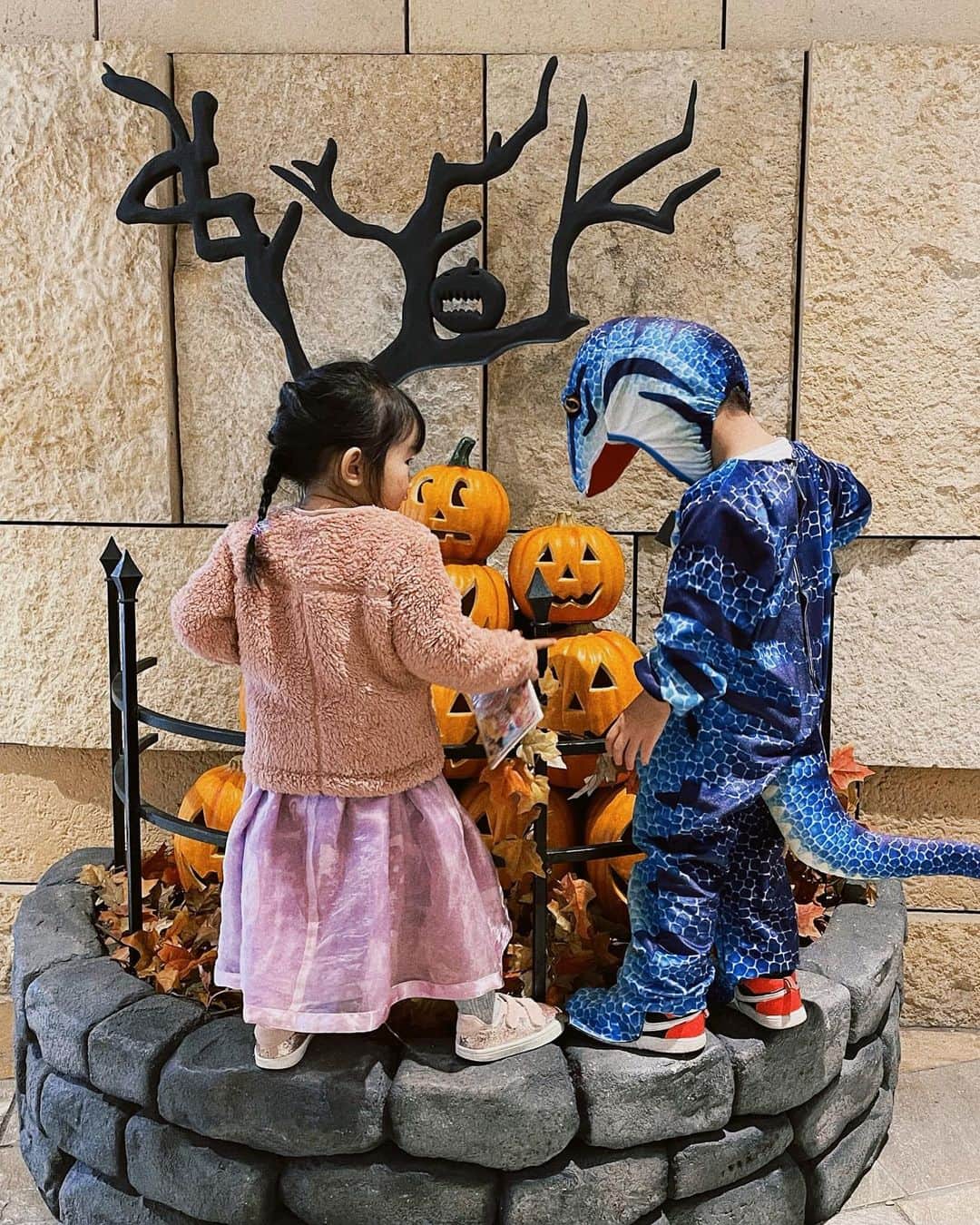 稲川千里さんのインスタグラム写真 - (稲川千里Instagram)「. . Happy Halloween🎃🦇 . ニナと何やろうかってネットで色々見ていたけれど、ラプンツェル💜プリンセス💛しか言わないので、家でヘビロテしているラプンツェルになりました🤣 . プリンセス合わせでエナは白雪姫🍎 同じくクローゼットから引っ張り出してきたもの😗 それでも結構な満足度だった🥰笑 . 投稿したいものが色々あって過ぎちゃった〜🧚🏻 . #happyhalloween #halloween2021 #キッズコスプレ #ラプンツェル #白雪姫 #プリンセスになりたい #ディズニープリンセス #2歳10ヶ月 #1歳3ヶ月 #ハロウィン」11月1日 18時43分 - chiicamera