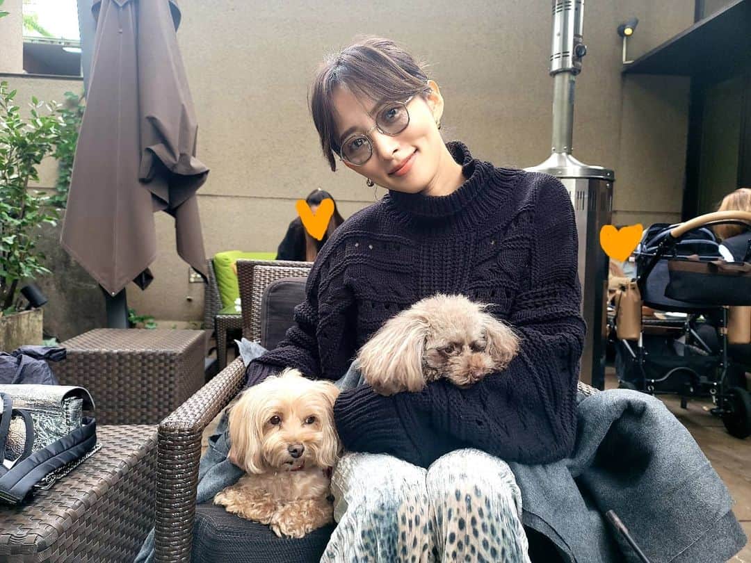 のインスタグラム：「まったり毎日を過ごしております。。🐶❤️🐶 あ!今日はスイートリベンジだよ! しかもまさかのせいかちゃん @starandsummer に出会った🤣💕」
