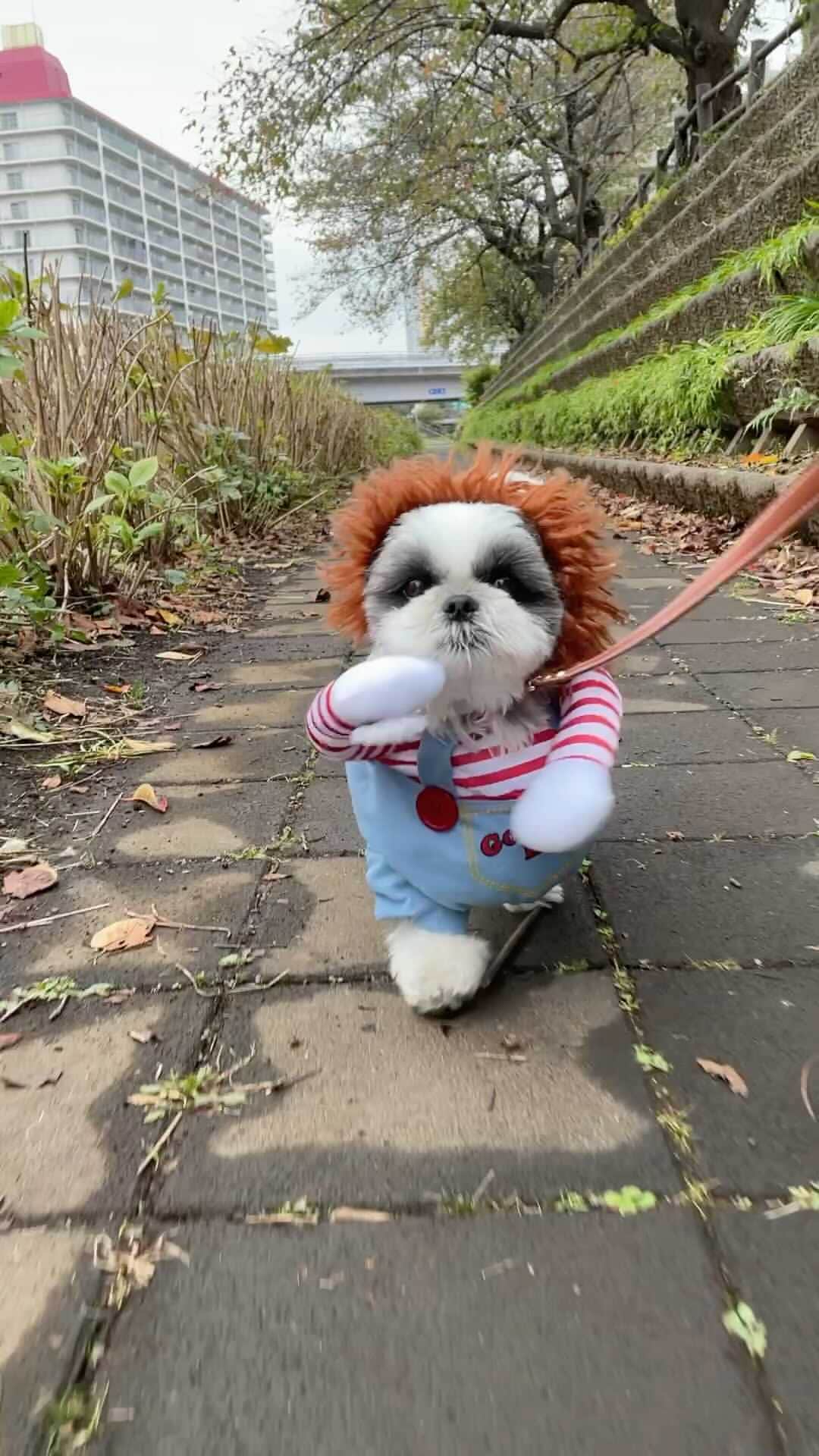 いくらのインスタグラム