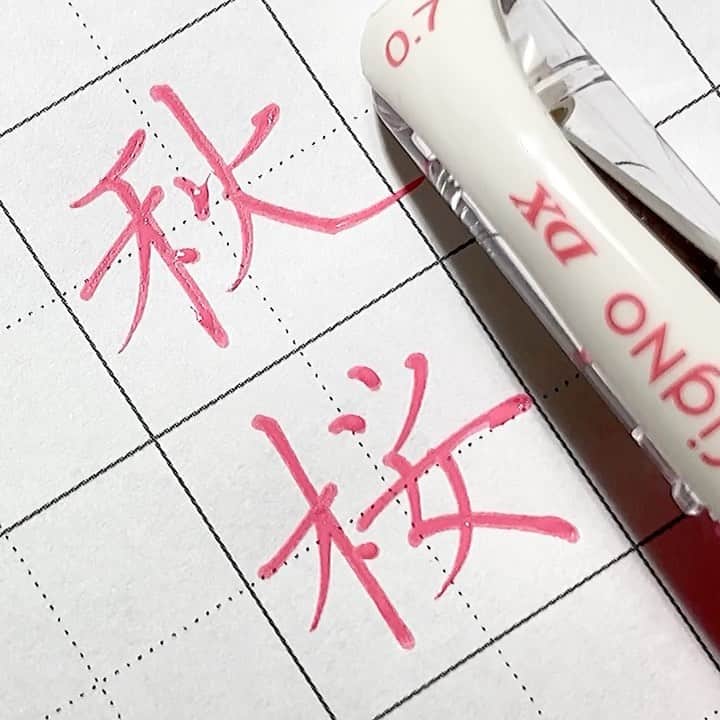 のインスタグラム：「* コスモス。の、秋桜。  ■uni-ball Signo DX 海外逆輸入ﾓﾃﾞﾙ(0.7㎜ ﾊﾟｽﾃﾙﾚｯﾄﾞ) @uni_mitsubishi_pencil   .  .  #字#ボールペン#ボールペン字#ボールペン字#ペン字#ペン習字#硬筆#実用書写#書写検定#書写技能検定#文房具#筆記用具#秋桜#コスモス#calligraphy#Japanesecalligraphy#japan#japaneseart#ballpointpen」