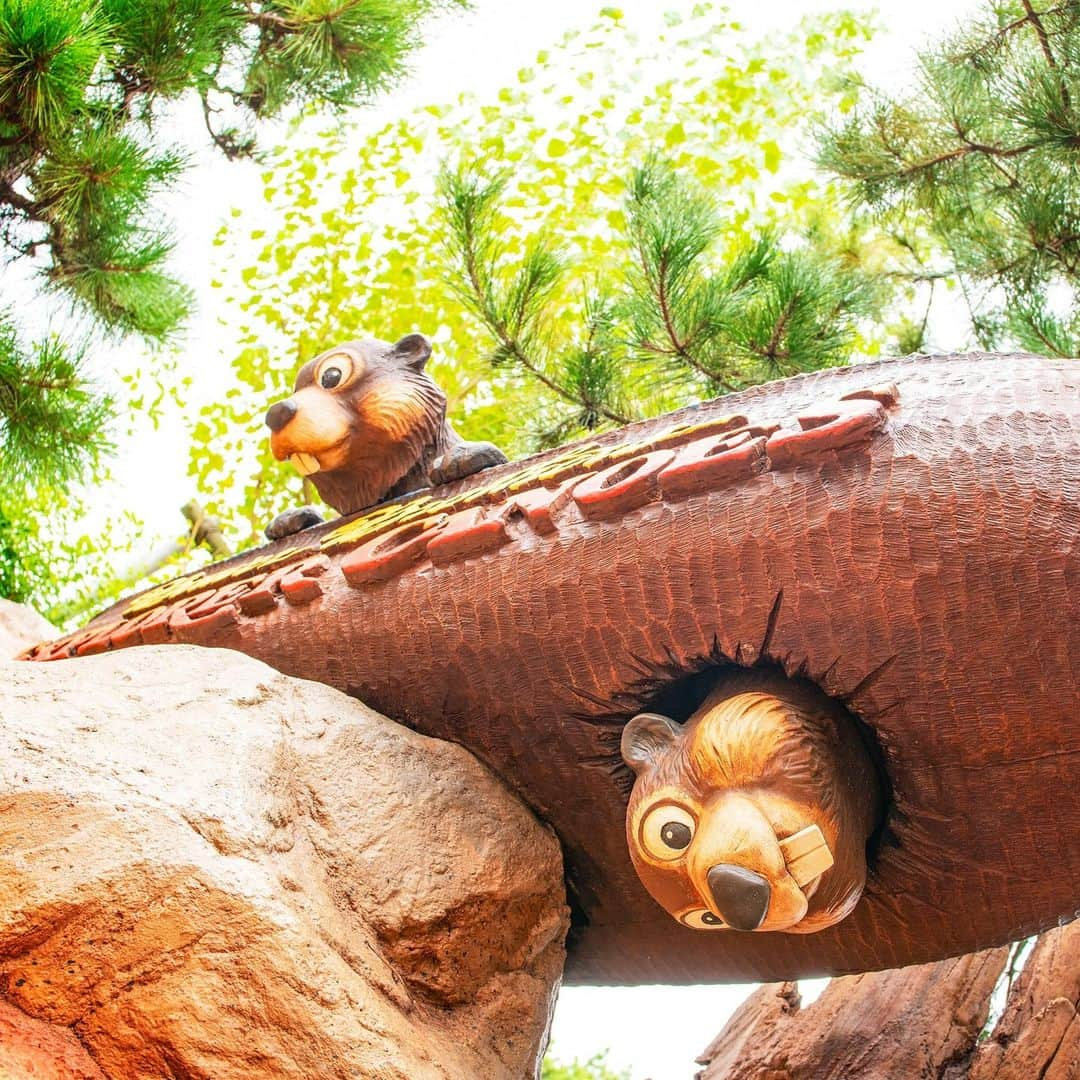 東京ディズニーリゾートさんのインスタグラム写真 - (東京ディズニーリゾートInstagram)「Hello from the bottom of the canoe! カヌーの底から、こんにちは！ #beaverbrothersexplorercanoes #crittercountry #tokyodisneyland #tokyodisneyresort #ビーバーブラザーズのカヌー探険 #クリッタカントリー #東京ディズニーランド #東京ディズニーリゾート」11月2日 11時02分 - tokyodisneyresort_official