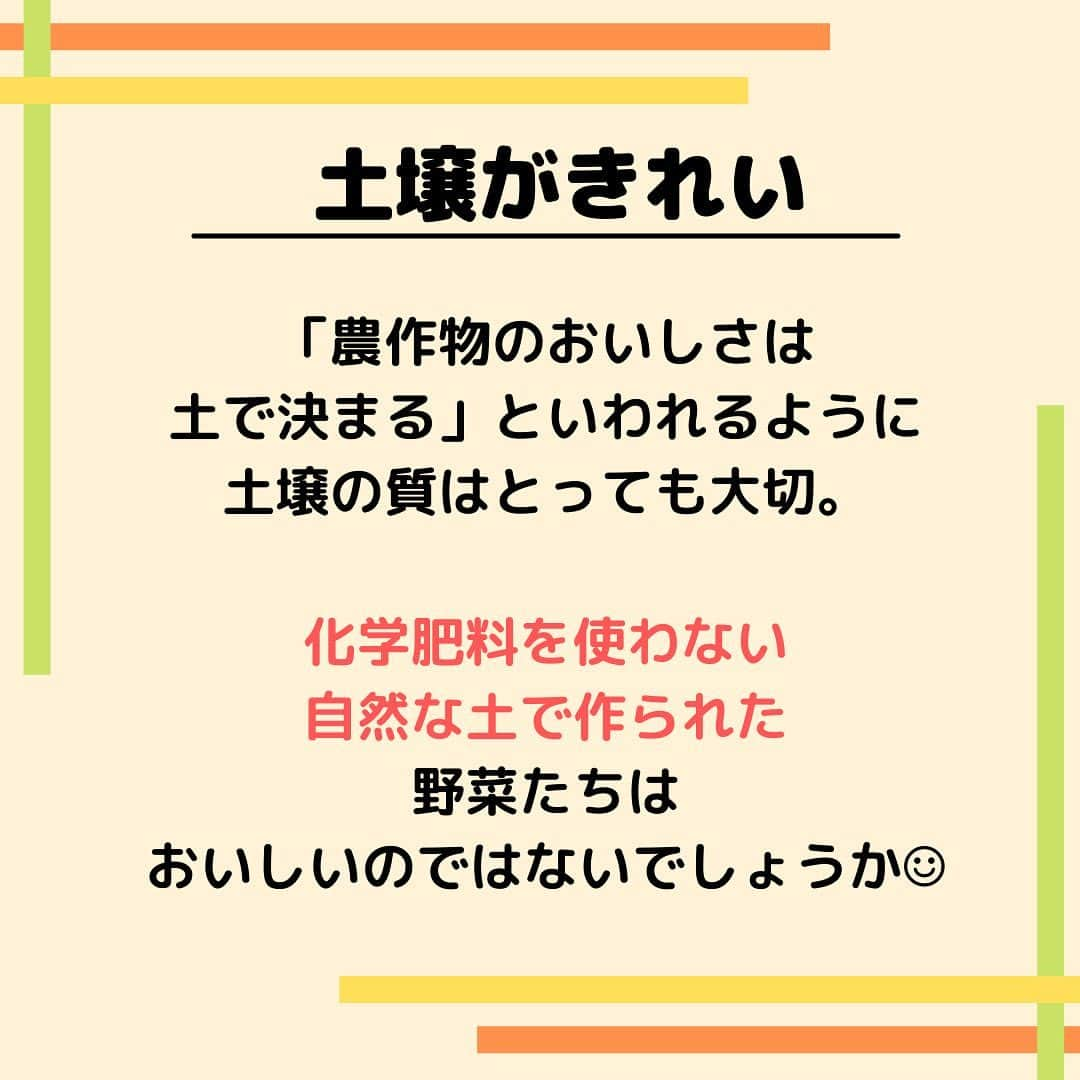 sanfeliceitaliancafeさんのインスタグラム写真 - (sanfeliceitaliancafeInstagram)「🔥オーガニックへこだわる理由🔥 　 　 　　 2つ前の投稿で 「オーガニックとはなにか？」 をお話ししました☺！ 　 　 サンフェリーチェが イタリアンからオーガニックに リニューアルして オーガニックにこだわる 理由は大きく３つあります。  今日は2つめをご紹介します☺️ 　  ------------------- LINEで健康情報・配信中！🌿 🔻免疫力アップ情報はこちら🔻 @sanfelice.organic  ------------------- 　 　 　 　 ☑️素材ほんらいの味を感じて欲しい 　 　 　  「おいしい〜😋💓」と 感じるポイントは人それぞれです。 　 　 なのでオーガニック野菜の方が そうじゃない野菜に比べて おいしいと断言することは 難しい部分もありますが、 野菜嫌いな人😖が オーガニック野菜🥬🍆を 食べてみたら おいしくて食べれるようになった という声があるのは事実です🙌🏻❣️ 　 　 では、そういう声があるのは なぜなのでしょう？🧐 　 　 いくつか考えられる理由を お伝えします🙌🏻 　 　 1)旬の野菜が食べられる🥦🥕 2)育てる土壌がきれい✨ 3)鮮度の高い状態🌱 　 　  それぞれどういうことか 見ていきましょう☺️ 　 　 1)旬の野菜が食べられる 　 オーガニックの食材は 自然に沿った方法で栽培されているので 季節に合った旬の野菜が出回っていることが多いです。  旬の野菜は、そうでない野菜に比べ 味がおいしいだけでなく、栄養素も高いという メリットがあります🙌🏻❣️ 　 　  2)土壌がきれい 　 「農作物のおいしさは土で決まる🔥」と いわれるように土壌の質はとっても大切。  化学肥料を使わない自然な土で作られた 野菜たちはおいしいのではないでしょうか☺ 　 　 3)新鮮な状態 　 オーガニックの野菜たち🥕🫑🧅は 化学肥料や保存剤防カビ剤などが 使用されていないので基本的に保存期間が短いです！ そのおかげで新鮮な状態の野菜を食することになります。 新鮮な野菜がおいしいのは納得がいきますよね😋💕  　  🌟🌟🌟 　 オーガニックの野菜を食べることで 本来のおいしさを知ってもらい、 喜んでいただきたい😍😍 　 🌟🌟🌟 　 オーガニックにこだわる理由 その2でした☺！ 　 　 その3をお楽しみに💓  　  #サンフェリーチェ #サンフェリーチェ浜松 #オーガニック生活 #ヘルスコーチング　#予防医学　 #食事改善　#免疫力アップ #ピンピンコロリ　#健康でいたい #腸内環境を整える #健康寿命 #免疫力を高める　#病気予防　#オーガニック野菜　#有機栽培」11月2日 14時53分 - sanfelice.organic