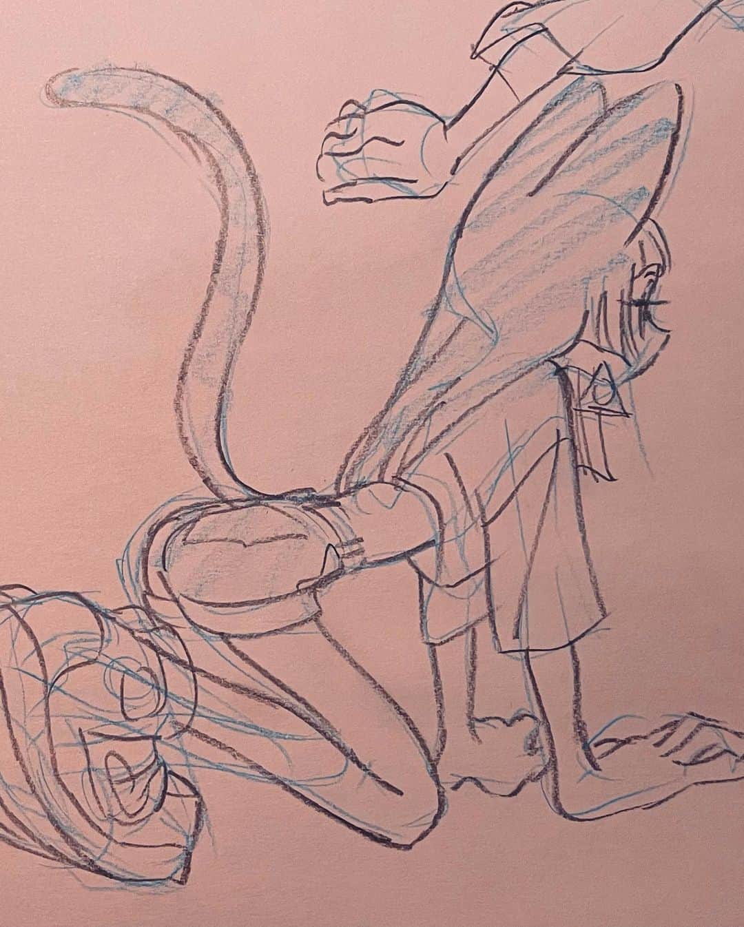 はなぶしのインスタグラム