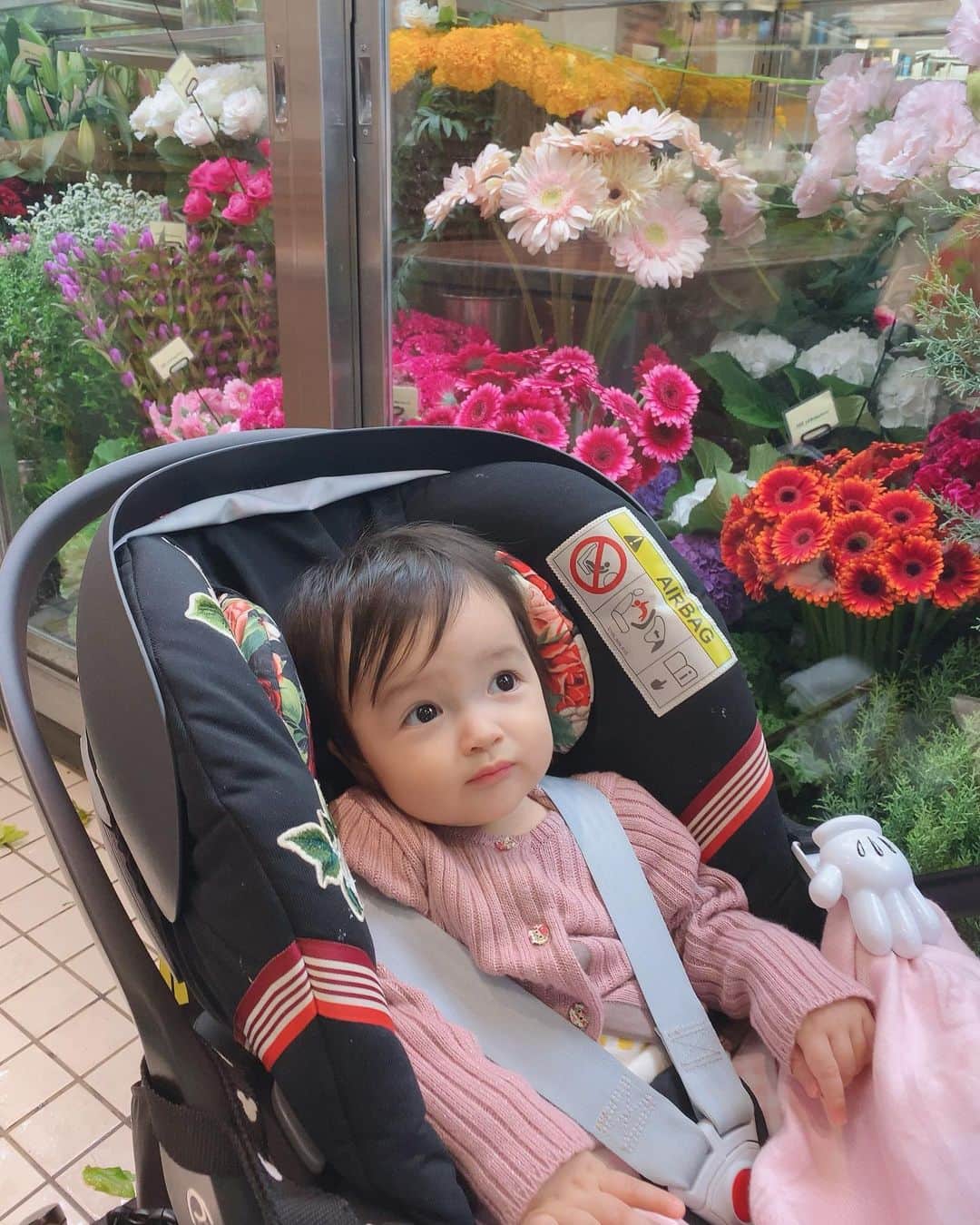 アレクサンダーのインスタグラム：「たまにはお花買って帰ろう♪ またリビングに大きな植物🪴欲しいな  #植物 #観葉植物 #お花」