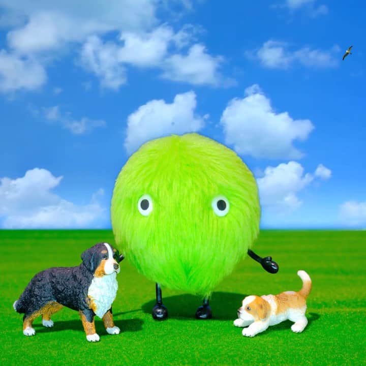 SUUMO公式アカウントのインスタグラム：「🐶🐕🐶🐕💕 #犬のいる暮らし #犬のいる生活 #犬好きな人と繋がりたい #dog #dogstagram #doglover #11月 #November #ぬいどり #ぬい撮り #ぬい撮り写真部 #スーモ #SUUMO」
