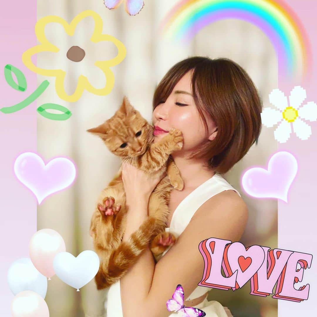 里美ゆりあのインスタグラム：「猫大好き動物大好き♡  #cat #猫 #愛してる #iloveyou」