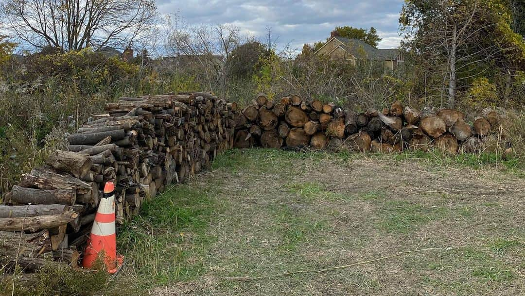 デイブ・クーリエさんのインスタグラム写真 - (デイブ・クーリエInstagram)「Thank goodness for chainsaws and tractors…and a gritty wife. Chopping, clearing and stacking to make way for our new house foundation. Swipe to see how we got it done. I really #cutitout @melissacoulier #builder #buildersofinsta #ownerbuilder」11月2日 21時49分 - dcoulier