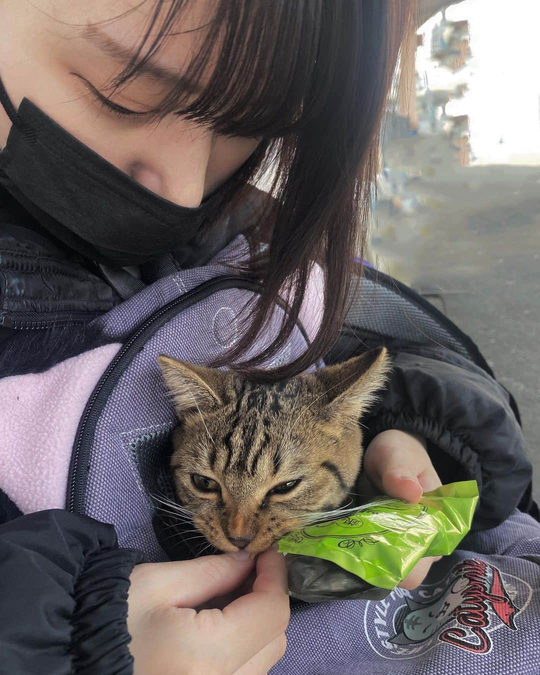 瀬山まどかさんのインスタグラム写真 - (瀬山まどかInstagram)「シャロ、ママだよ、、」11月2日 23時40分 - madoka4649