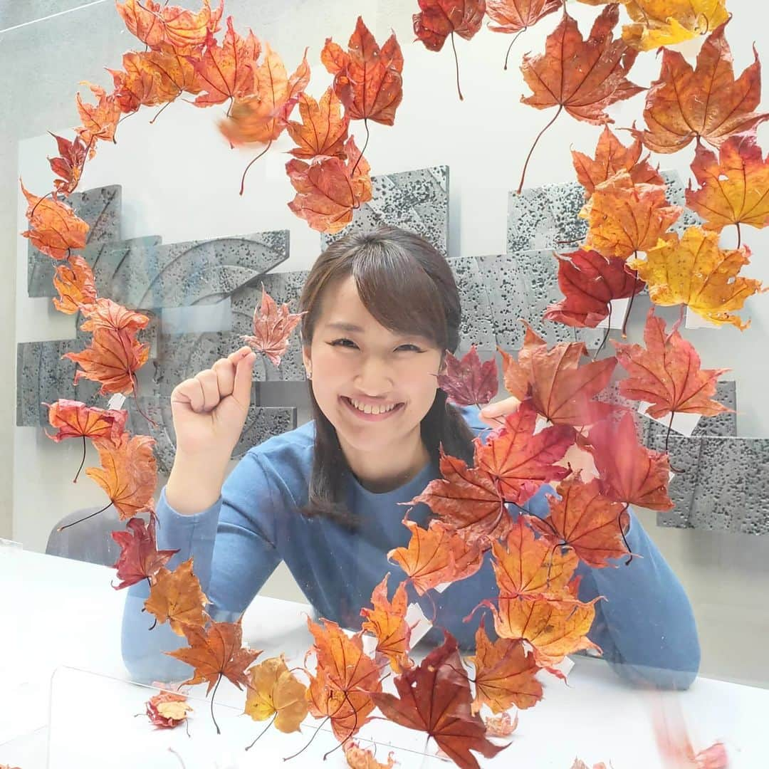 札幌テレビ「どさんこワイド朝」のインスタグラム：「きょうの放送後の1枚。  紅葉のハート❤ . . #どさんこワイド朝 #西尾優希  #秋 #紅葉 #落ち葉 #ハート  #がんばって集めました  #がんばって作りました」