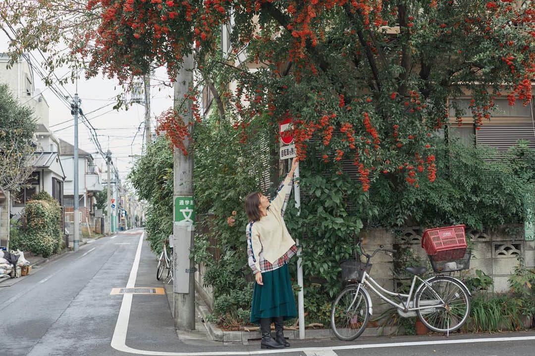 田名部生来さんのインスタグラム写真 - (田名部生来Instagram)「越冬🧶 南天の花言葉 私の愛は増すばかりでした。 渡る世間は鬼ばかり。   photo by @yamaguchimayu5」11月3日 10時41分 - mnkspnpn
