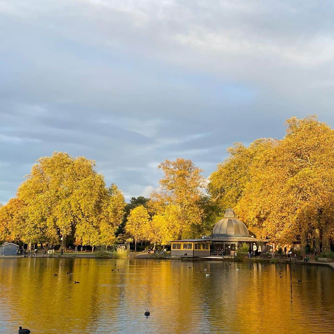 岡村仁美のインスタグラム：「週末に立ち寄った公園の紅葉が見頃でした🍁 ・ あっという間に寒くなるからか ロンドンの紅葉は楽しめる時期が短い気がするので キレイな景色に出会えると嬉しい  #victoriapark #ロンドン生活 #秋というよりもう冬みたいな寒さ」