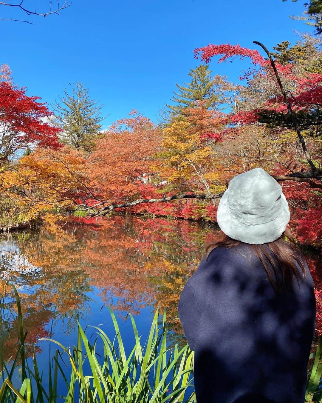 伊藤友里さんのインスタグラム写真 - (伊藤友里Instagram)「ハロウィンは軽井沢で秋を感じに✨  2羽のうさぎさんとどんぐりや葉っぱをたくさん拾いました🍂🌰🐇 葉っぱを踏むカシャカシャという音も好きだなあ☺️  凍えるほど寒かったですが水面に映った燃えるような紅葉の色味に心はぽかぽか🍁🍁  最後の写真はカボチャにオバケにコウモリに🦇👻 ハロウィンにちなんだ折り紙ってこんなにもあったのですね🎃  #軽井沢 #雲場池 #紅葉」11月3日 19時38分 - ito_yuri_official